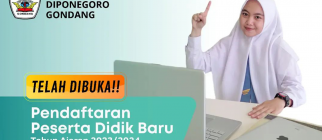 PPDB (Penerimaan Peserta Didik Baru)